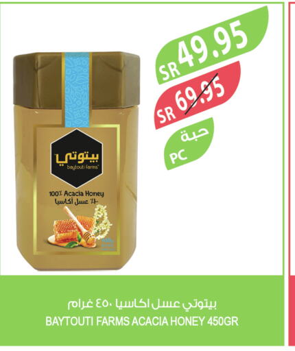  Honey  in المزرعة in مملكة العربية السعودية, السعودية, سعودية - سكاكا