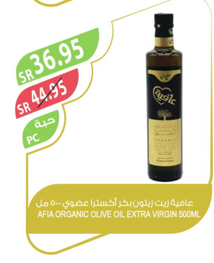 AFIA Extra Virgin Olive Oil  in Farm  in KSA, Saudi Arabia, Saudi - Yanbu