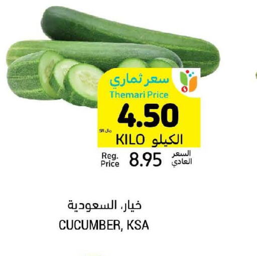  Cucumber  in أسواق التميمي in مملكة العربية السعودية, السعودية, سعودية - تبوك