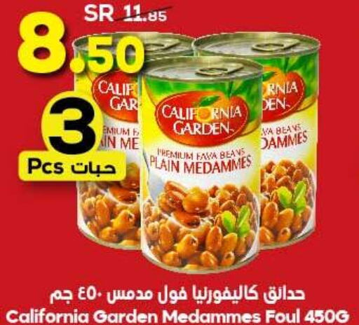 CALIFORNIA GARDEN Fava Beans  in Dukan in KSA, Saudi Arabia, Saudi - Ta'if