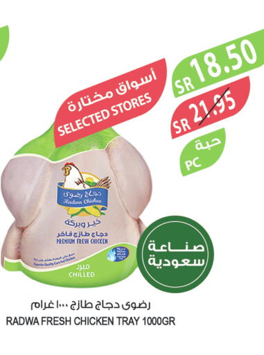  Fresh Chicken  in Farm  in KSA, Saudi Arabia, Saudi - Dammam