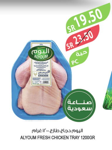 AL YOUM Fresh Chicken  in Farm  in KSA, Saudi Arabia, Saudi - Yanbu