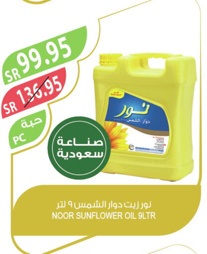 NOOR Sunflower Oil  in Farm  in KSA, Saudi Arabia, Saudi - Tabuk