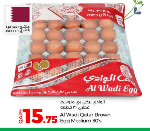 in LuLu Hypermarket in Qatar - Al Rayyan
