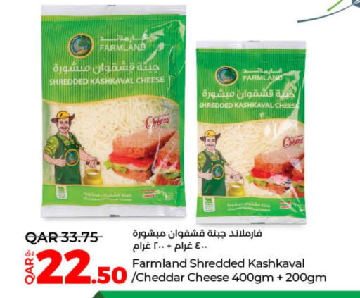  Cheddar Cheese  in لولو هايبرماركت in قطر - الخور