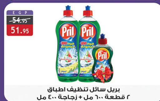 PRIL   in Al Rayah Market   in Egypt - Cairo