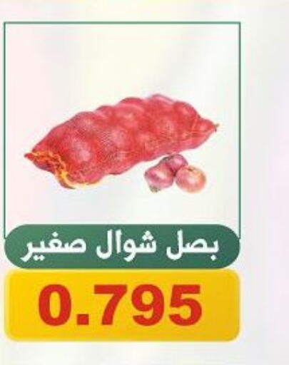  Onion  in جمعية الحرس الوطني in الكويت - مدينة الكويت