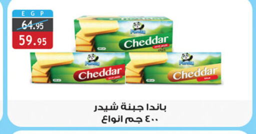 PANDA Cheddar Cheese  in Al Rayah Market   in Egypt - Cairo