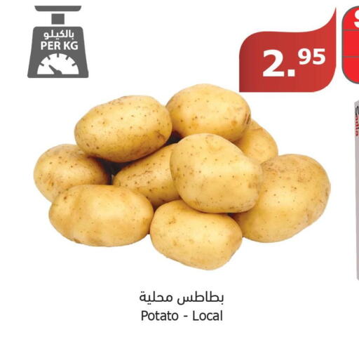  Potato  in Al Raya in KSA, Saudi Arabia, Saudi - Najran