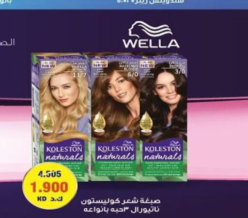 WELLA Hair Colour  in Kuwait National Guard Society in Kuwait - Kuwait City