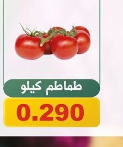  Tomato  in Kuwait National Guard Society in Kuwait - Kuwait City