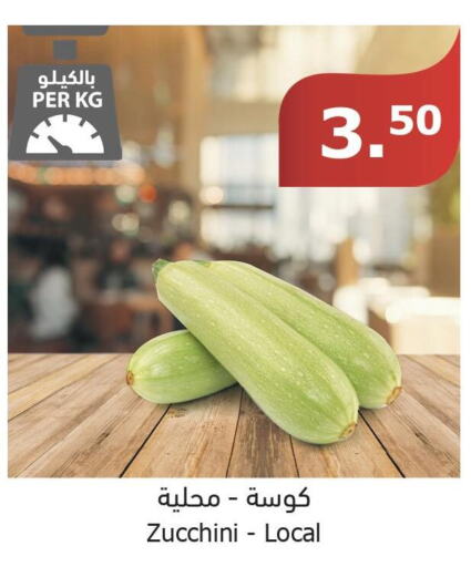  Zucchini  in Al Raya in KSA, Saudi Arabia, Saudi - Jazan