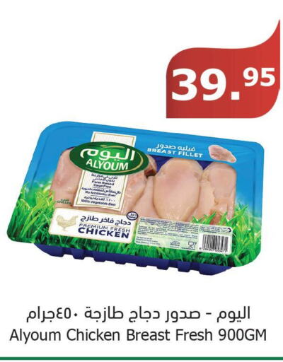 AL YOUM Chicken Breast  in Al Raya in KSA, Saudi Arabia, Saudi - Jazan