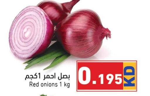  Onion  in Ramez in Kuwait - Ahmadi Governorate