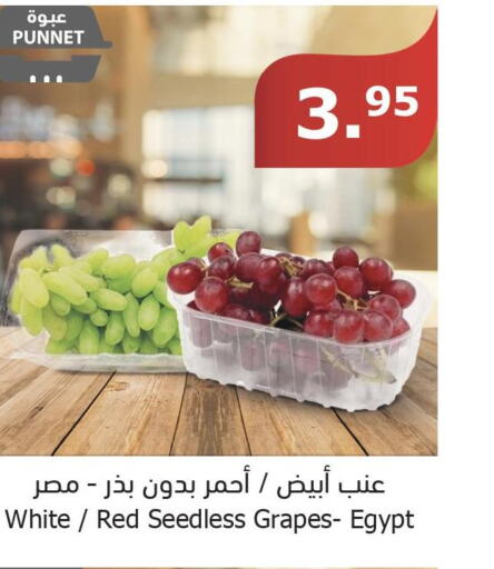  Grapes  in الراية in مملكة العربية السعودية, السعودية, سعودية - جدة