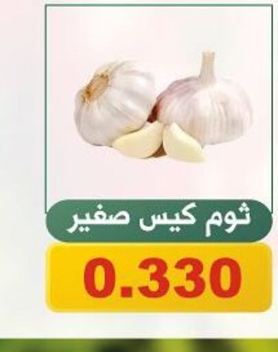  Garlic  in جمعية الحرس الوطني in الكويت - مدينة الكويت