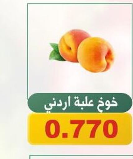  Peach  in جمعية الحرس الوطني in الكويت - مدينة الكويت