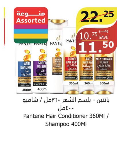 PANTENE Shampoo / Conditioner  in Al Raya in KSA, Saudi Arabia, Saudi - Al Bahah