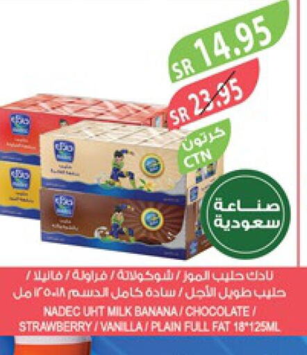 NADEC Long Life / UHT Milk  in Farm  in KSA, Saudi Arabia, Saudi - Jazan