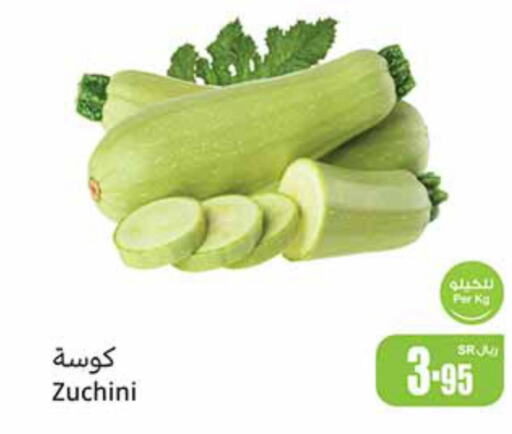  Zucchini  in Othaim Markets in KSA, Saudi Arabia, Saudi - Riyadh