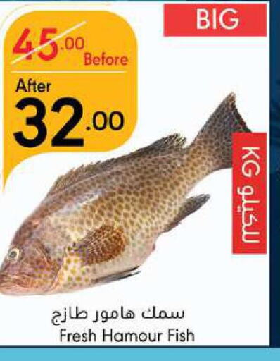  King Fish  in مانويل ماركت in مملكة العربية السعودية, السعودية, سعودية - جدة