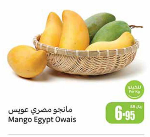 Mango Mango  in أسواق عبد الله العثيم in مملكة العربية السعودية, السعودية, سعودية - المدينة المنورة
