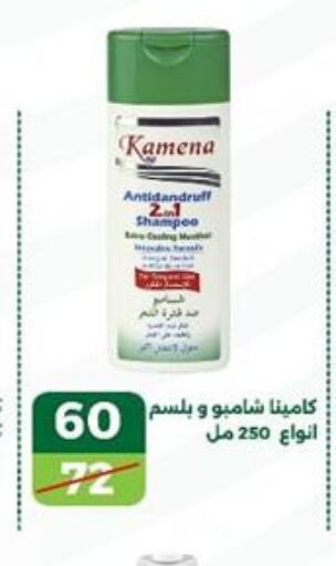  Shampoo / Conditioner  in Green Tree Hypermarket - Sohag in Egypt - Cairo