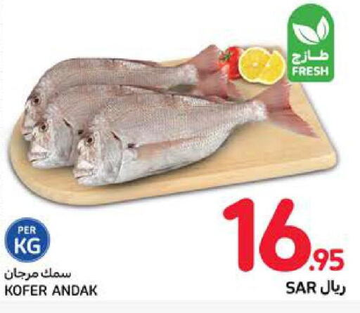  King Fish  in كارفور in مملكة العربية السعودية, السعودية, سعودية - سكاكا