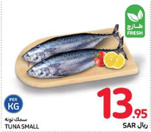  Tuna  in Carrefour in KSA, Saudi Arabia, Saudi - Medina