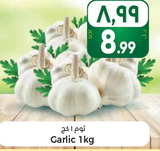  Garlic  in City Flower in KSA, Saudi Arabia, Saudi - Jubail