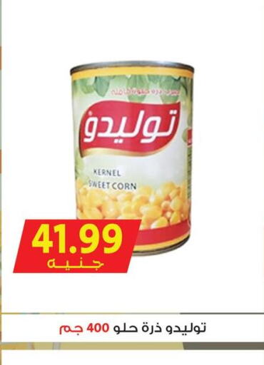  Pickle  in أسواق بدر in Egypt - القاهرة