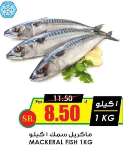  King Fish  in أسواق النخبة in مملكة العربية السعودية, السعودية, سعودية - بريدة