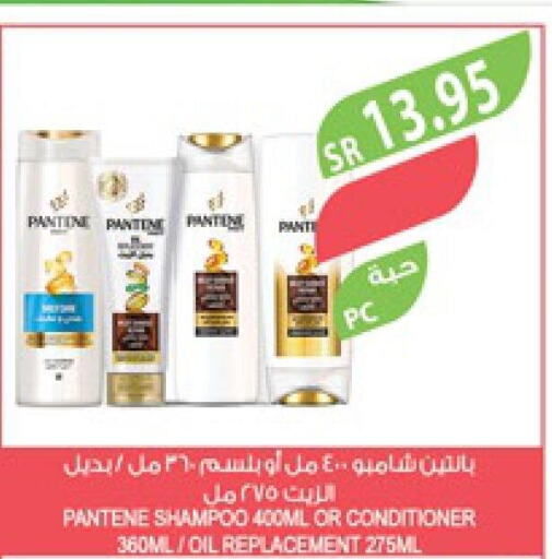 PANTENE Shampoo / Conditioner  in Farm  in KSA, Saudi Arabia, Saudi - Jubail