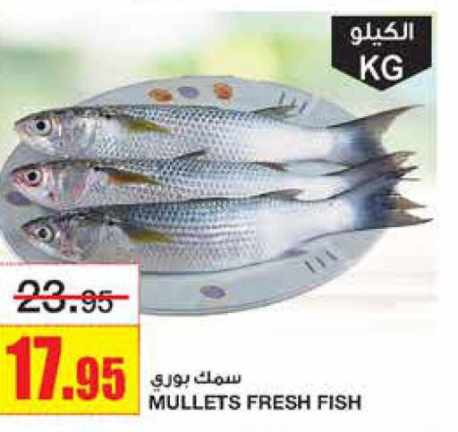  King Fish  in أسواق السدحان in مملكة العربية السعودية, السعودية, سعودية - الرياض