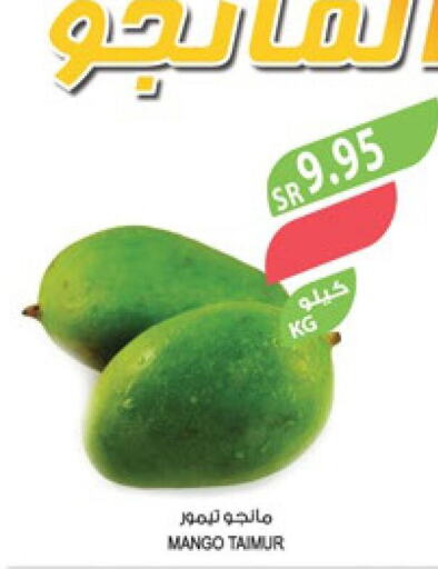 Mango Mango  in Farm  in KSA, Saudi Arabia, Saudi - Jeddah