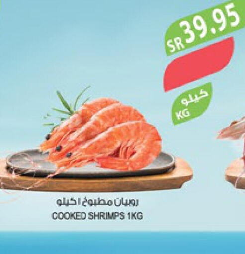  Tuna  in المزرعة in مملكة العربية السعودية, السعودية, سعودية - الأحساء‎