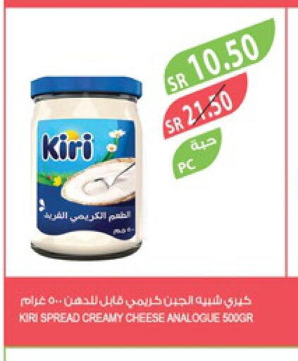KIRI Analogue Cream  in Farm  in KSA, Saudi Arabia, Saudi - Al Bahah