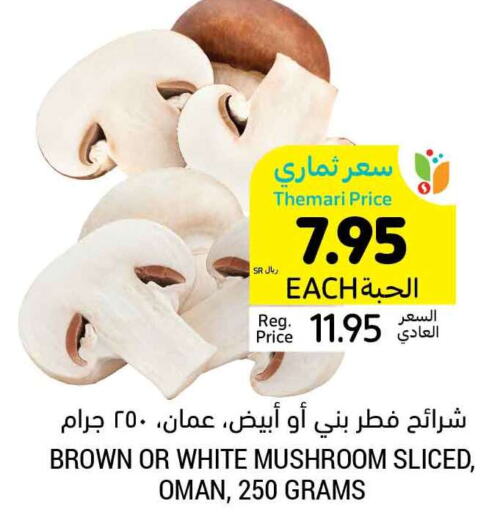  Mushroom  in أسواق التميمي in مملكة العربية السعودية, السعودية, سعودية - المدينة المنورة