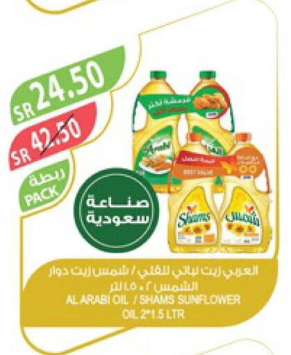 Alarabi Sunflower Oil  in Farm  in KSA, Saudi Arabia, Saudi - Riyadh