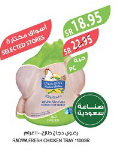  Fresh Chicken  in المزرعة in مملكة العربية السعودية, السعودية, سعودية - الأحساء‎