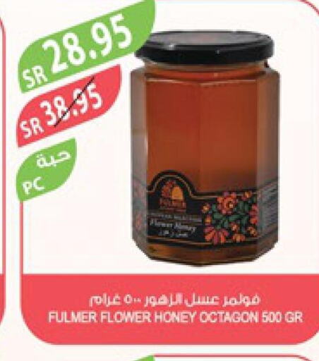  Honey  in Farm  in KSA, Saudi Arabia, Saudi - Yanbu