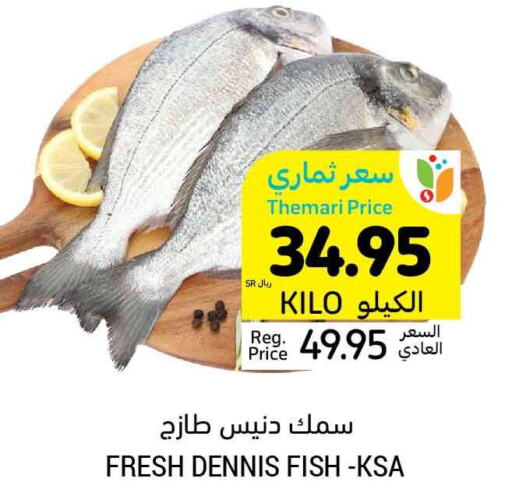  King Fish  in Tamimi Market in KSA, Saudi Arabia, Saudi - Buraidah