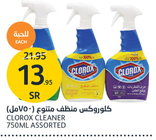 CLOROX General Cleaner  in AlJazera Shopping Center in KSA, Saudi Arabia, Saudi - Riyadh