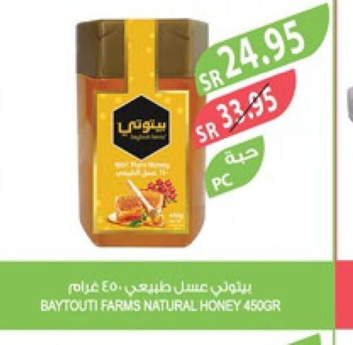  Honey  in Farm  in KSA, Saudi Arabia, Saudi - Yanbu