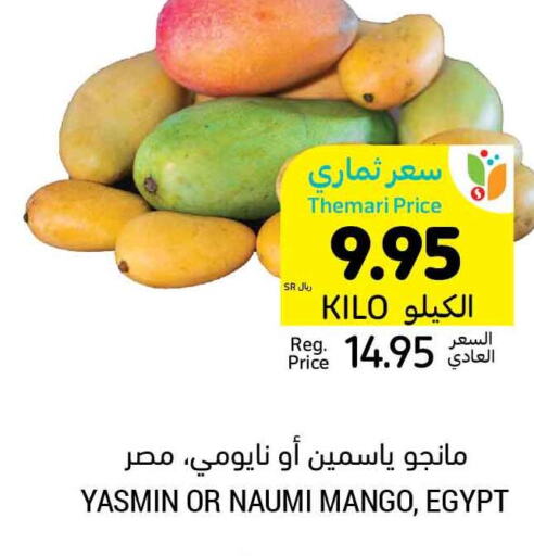 Mango Mango  in Tamimi Market in KSA, Saudi Arabia, Saudi - Ar Rass