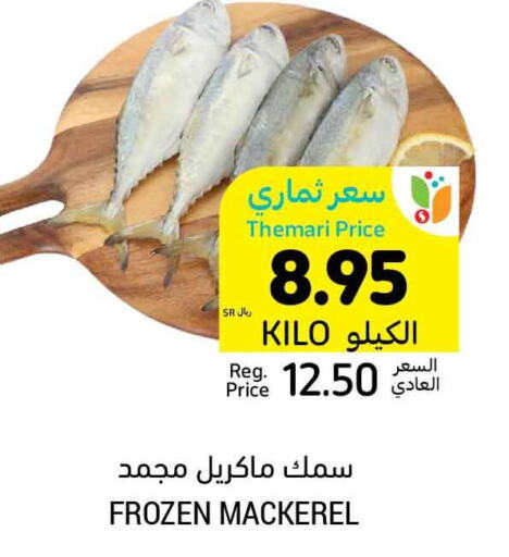 King Fish  in Tamimi Market in KSA, Saudi Arabia, Saudi - Buraidah