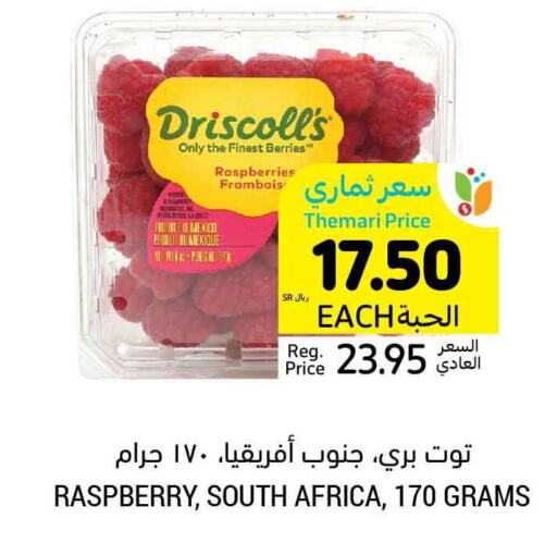  Berries  in أسواق التميمي in مملكة العربية السعودية, السعودية, سعودية - الرس