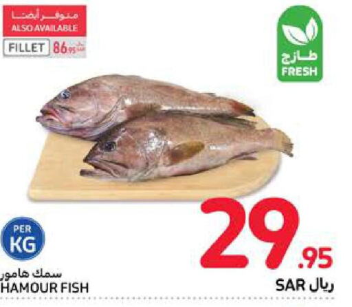  King Fish  in كارفور in مملكة العربية السعودية, السعودية, سعودية - المدينة المنورة