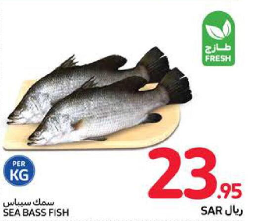  King Fish  in كارفور in مملكة العربية السعودية, السعودية, سعودية - جدة
