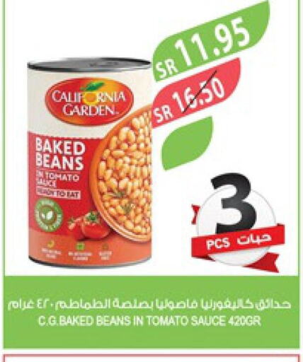 CALIFORNIA GARDEN Baked Beans  in Farm  in KSA, Saudi Arabia, Saudi - Al Bahah